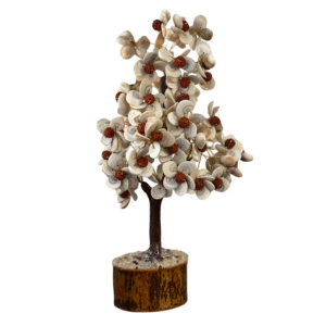 Gomati Rudraksha Tree